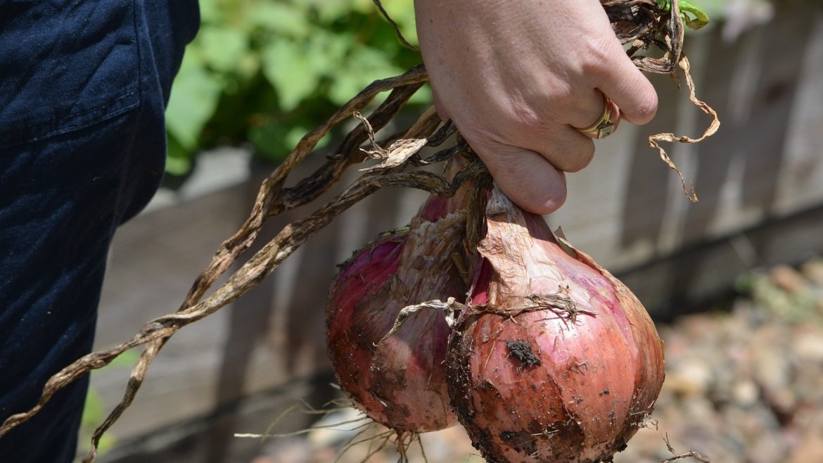 Pourquoi installer un jardin potager trou de serrure dans sa maison ?